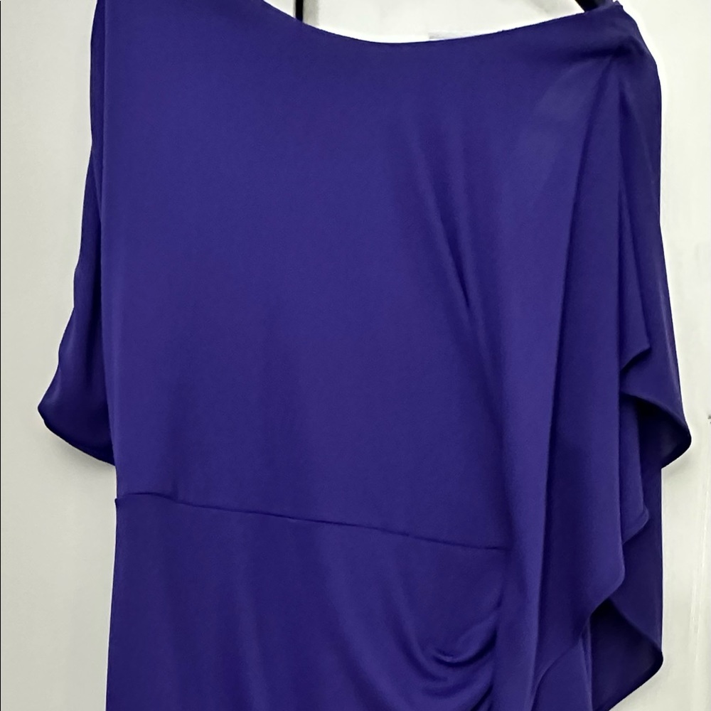BCBG MaxAzria purple/blue dress with beautiful detail.